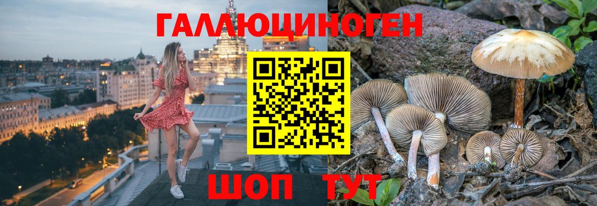 Галлюциногенные грибы MAGIC MUSHROOMS Гусь-Хрустальный