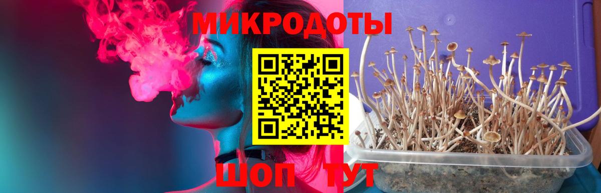 Гусь-Хрустальный  Галлюциногенные грибы Cubensis  Псилоцибиновые грибы GOLDEN TEACHER  наркошоп  Вход с VPN 
